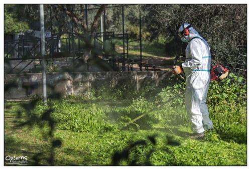 Η Διεύθυνση Πρασίνου & Περιβάλλοντος του Δήμου Νίκαιας – Αγίου Ιωάννη Ρέντη έχει εκπονήσει σχέδιο αξιοποίησης και αναζωογόνησης για το Άλσος Αγίου Φιλίππου, τον μεγαλύτερο χώρο πρασίνου της πόλης και έναν από τους σημαντικότερους στην ευρύτερη περιοχή του Πειραιά.